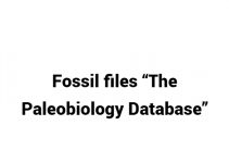 (Update 2022) Fossil files “The Paleobiology Database”  | IELTS Reading Practice Test Free