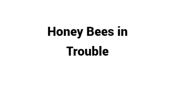 (Update 2022) Honey Bees in Trouble | IELTS Reading Practice Test Free